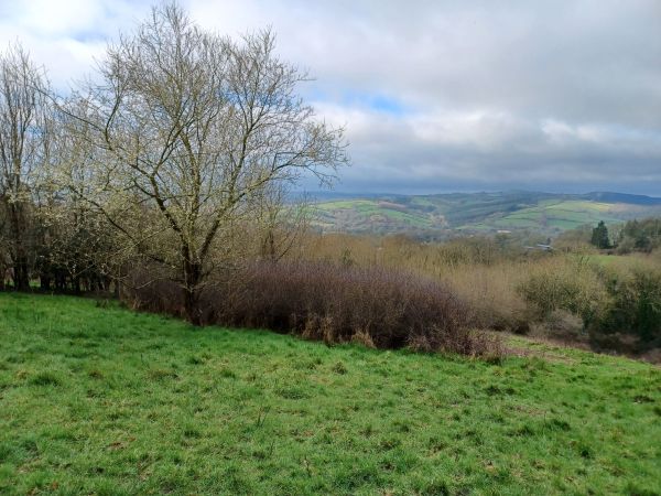 Distant countryside view